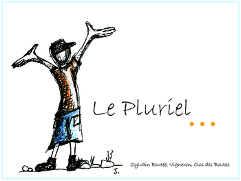 Sylvain Boutée / Clos des Boutes