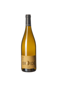 Viognier "Ovoïde" 2023