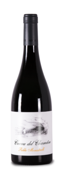 Santa Cruz de Alpera Soc. Coop. de C-LM