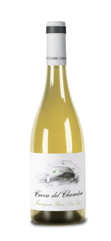 Santa Cruz de Alpera Soc. Coop. de C-LM