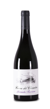 Santa Cruz de Alpera Soc. Coop. de C-LM