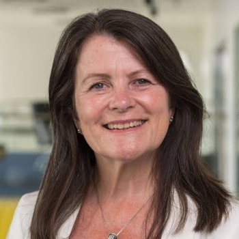 Professor Dame Karen Holford