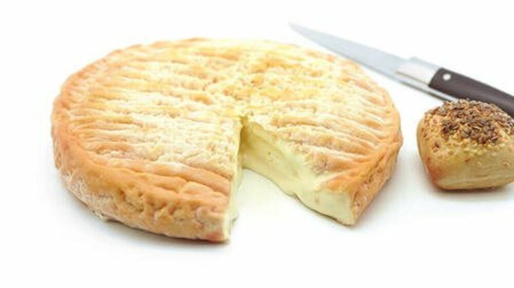 13095 - Epoisses AOP 24% MG 900 g