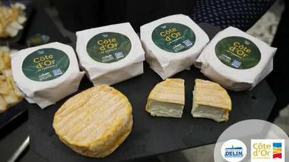 248510 - Cote d'or le fromage 31%MG 150g Delin