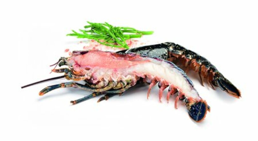 253835 - Demi-homard européen bleu scié avec pince décortiquée 140/180 g