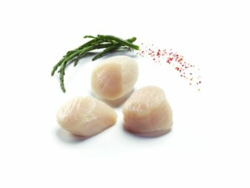 231941 - Noix de Saint-Jacques sans corail MSC 20/30