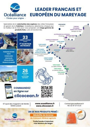 Les Pêcheries du Cotentin vous offre une large gamme de coquillages et crustacés, de céphalopodes ainsi que de poissons frais et surgelés issus de la pêche côtière.