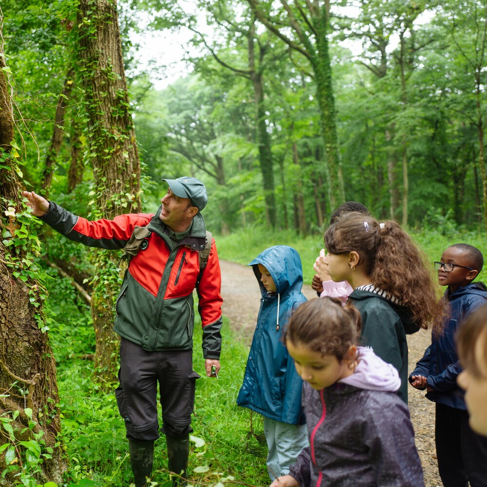 Financement d'ateliers de sensibilisation de scolaires en forêt