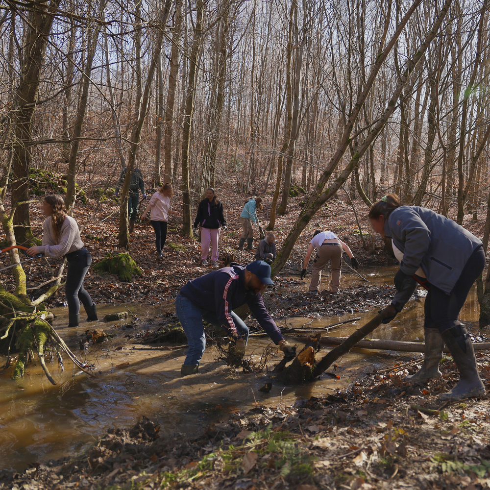 Chantier nature (team-building responsable)