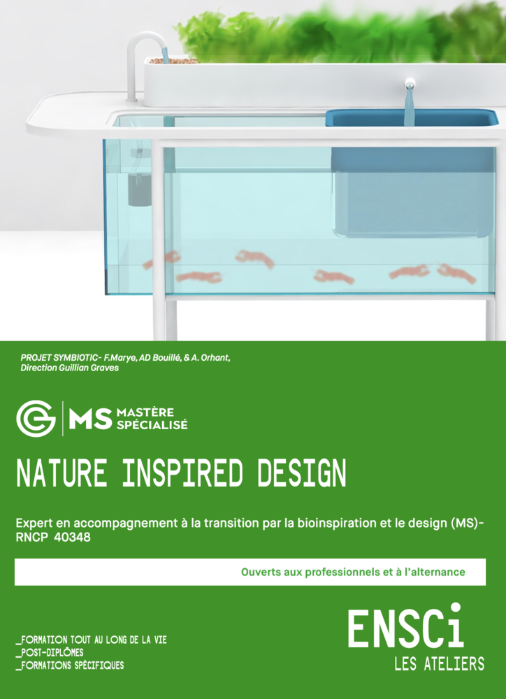 MS® Nature-Inspired Design® (N.I.D)- Expert en accompagnement à la transition par la bioinspiration et le design (MS)