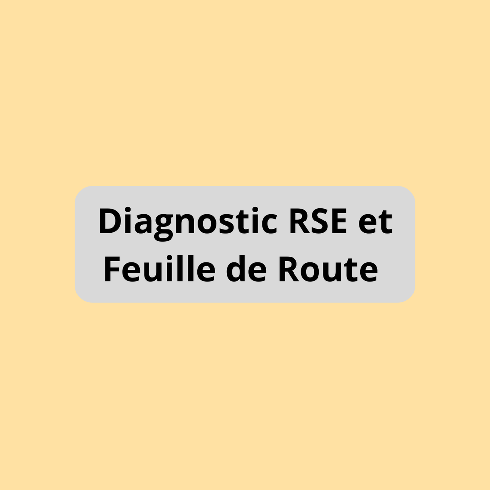 Diagnostic RSE et Feuille de Route
