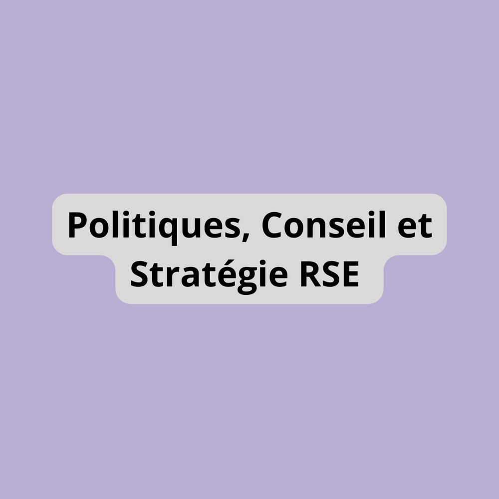 Politiques, Conseil et Stratégie RSE