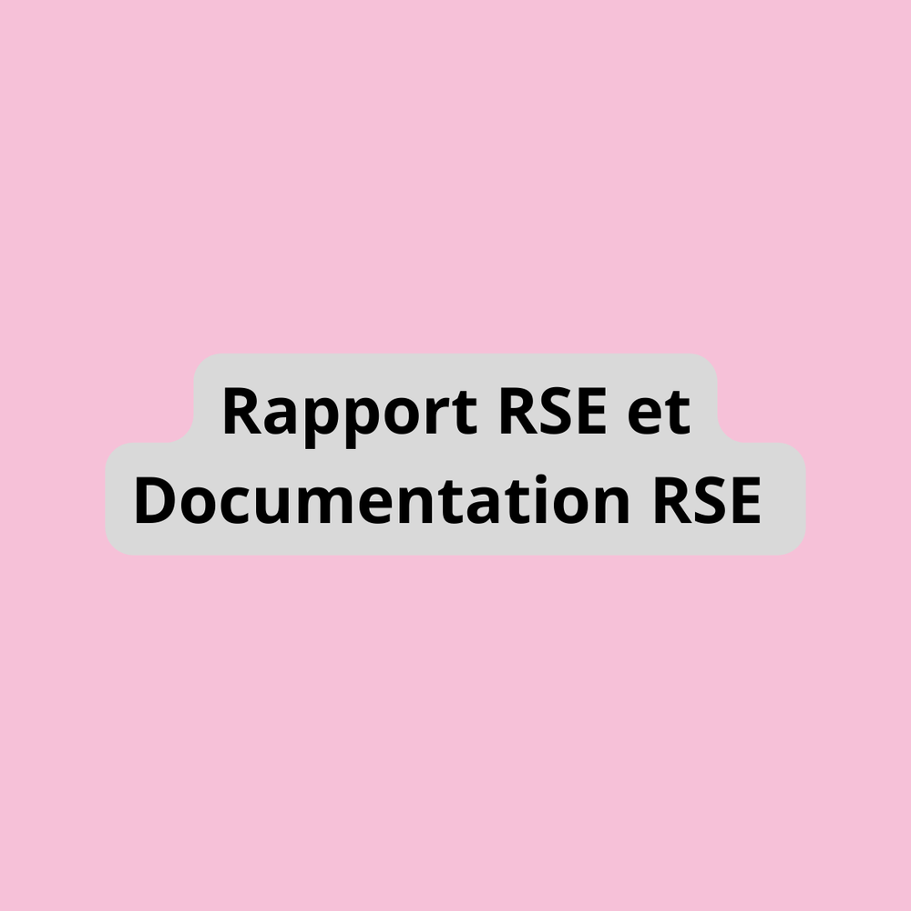 Rapport RSE et Documentation RSE