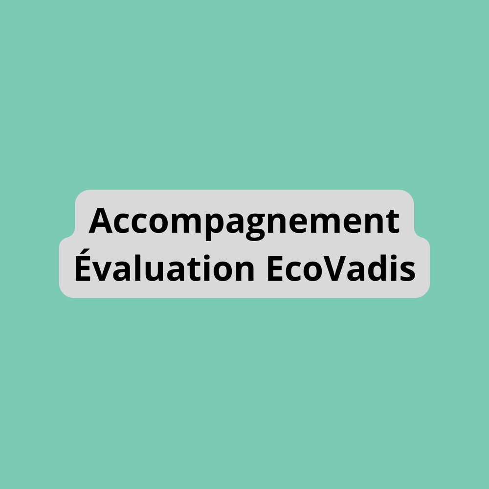Accompagnement Évaluation EcoVadis