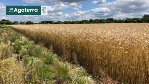 Transition des filières agricoles