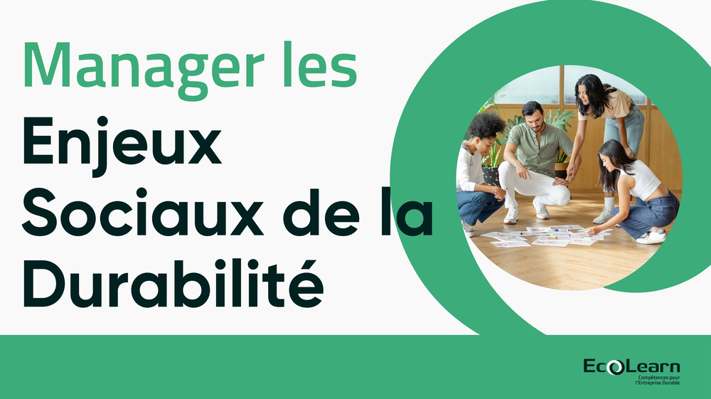 Formation MESD - Manager les Enjeux Sociaux de la Durabilité