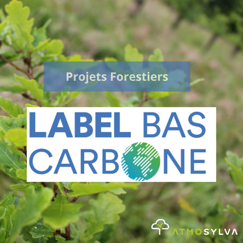 Projets Forestiers Label Bas Carbone