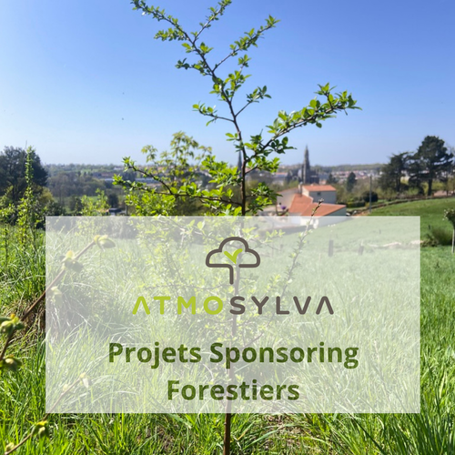 Projets sponsoring forestiers