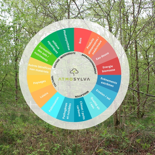 Projets Services Ecosystémiques certifiés