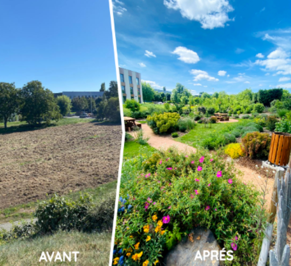 Mini-Forêt d'entreprise