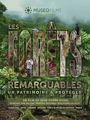 Les 4 films en cours de production