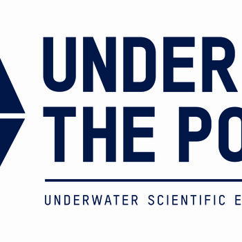 UNDER THE POLE
