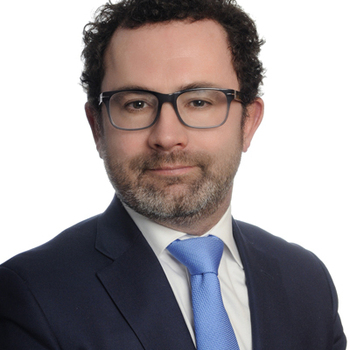 Laurent LE GRIN