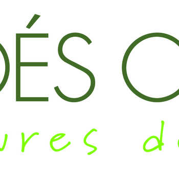 PROCEDES CHENEL INTERNATIONAL
