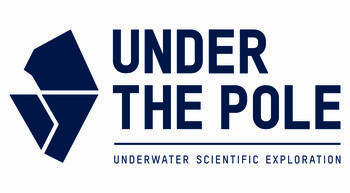 UNDER THE POLE