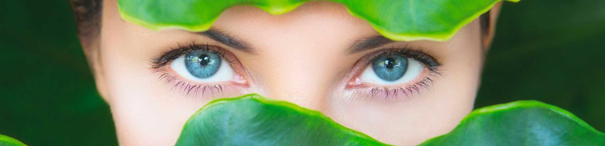 FILMOLUX promeut la créativité durable