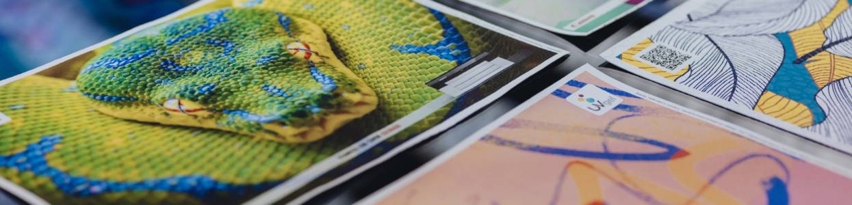 Couleur : venez découvrir les capacités exceptionnelles des imprimantes grand format Canon, avec les encres LUCIA