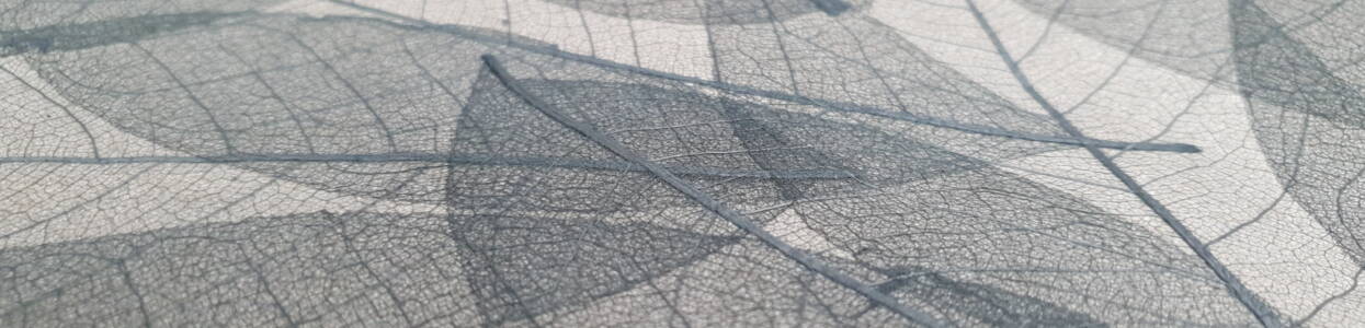 Décoration : AVERY DENNISON fait rentrer la nature dans nos intérieurs