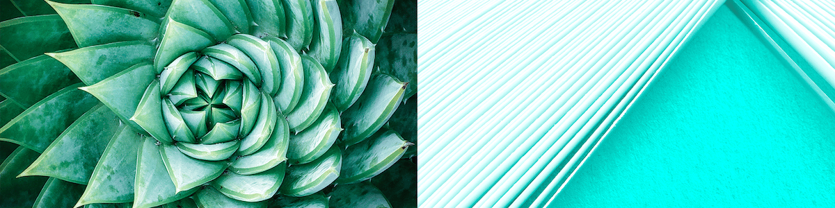 ANTALIS lance son Creative Power Tour 