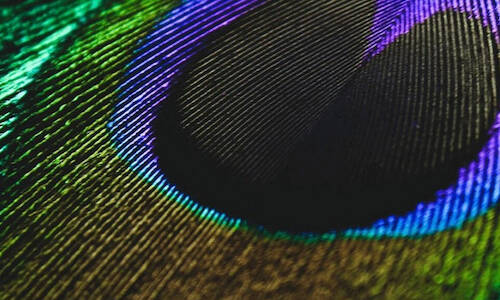 Canon continue à innover dans le jet d’encre avec sa gamme VarioPRINT