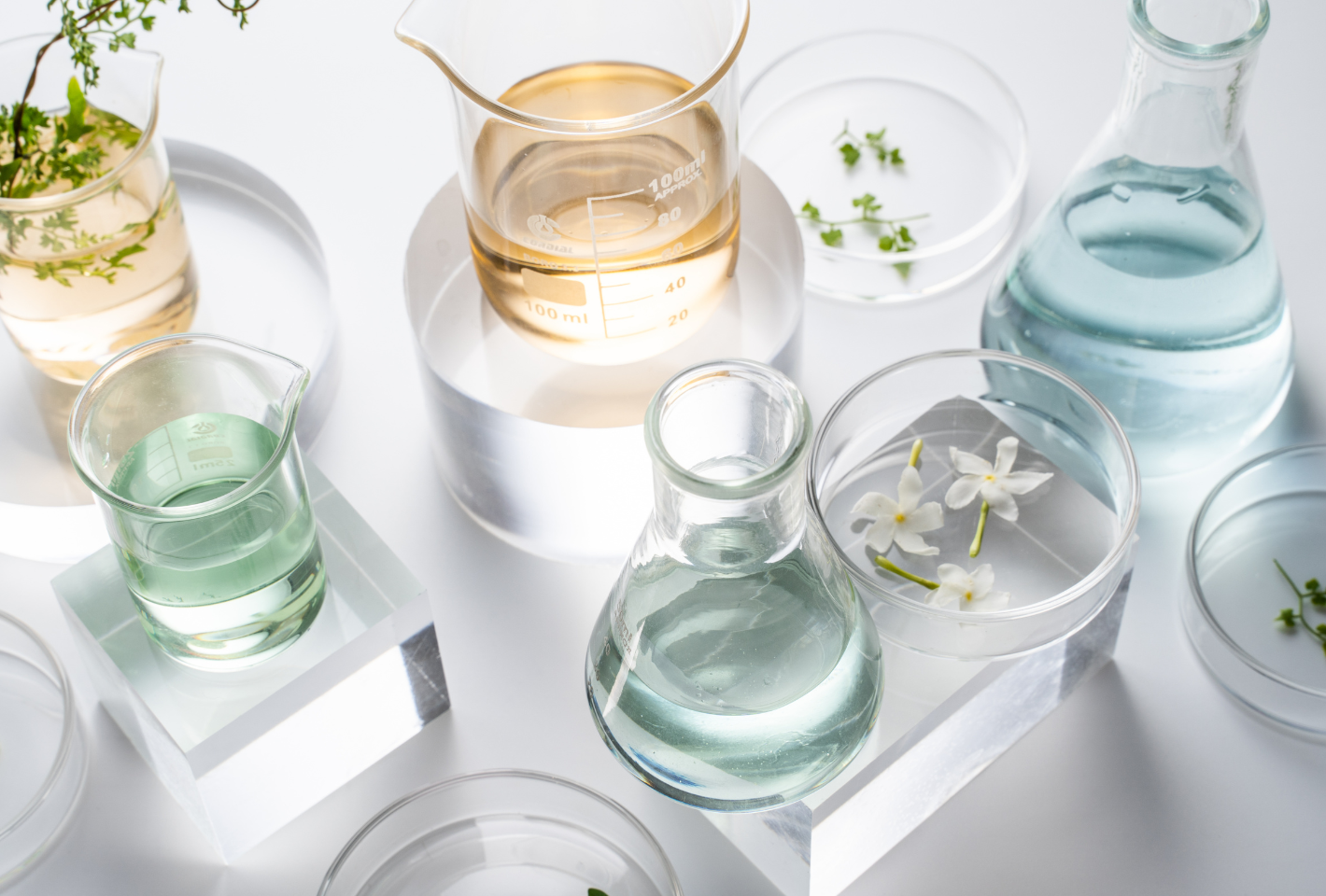 Skincare novelty « Fermented Beauty »
