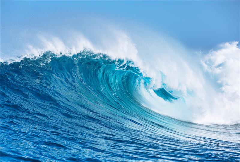 Ocean Beauty at MakeUp in LosAngeles 2025!