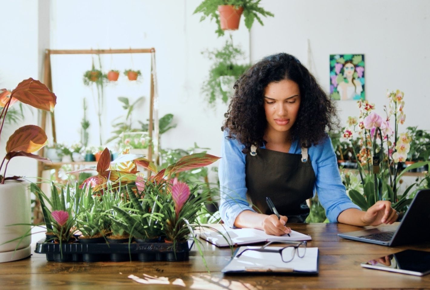 Becoming a Franchisor, Financing Your Project: What is the Value of Your Concept in the Franchise Market?