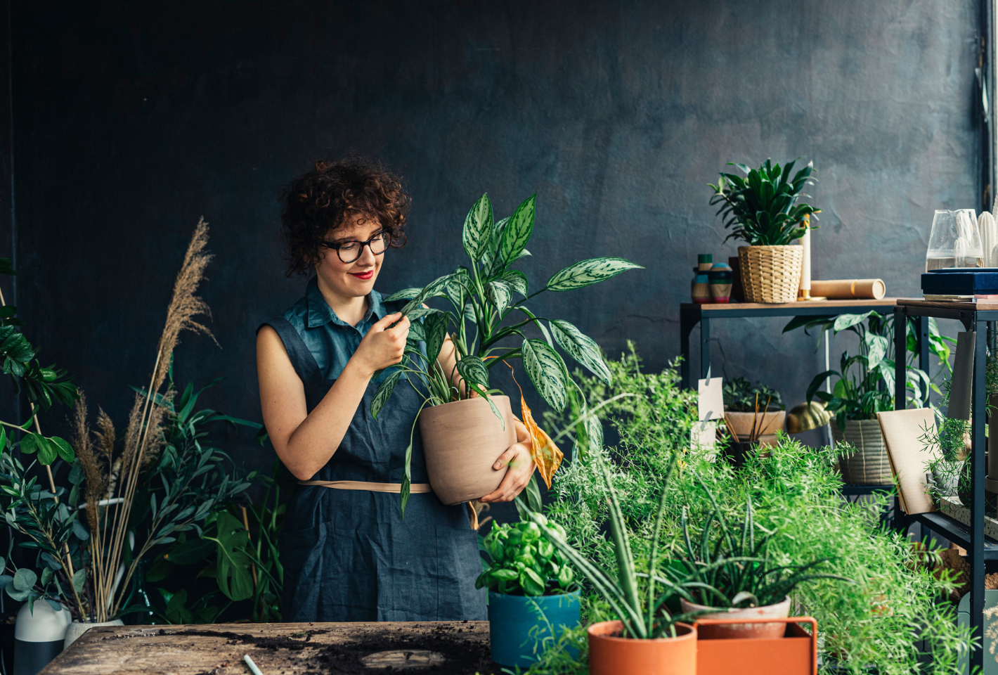 Changing your professional life: why franchising is so appealing