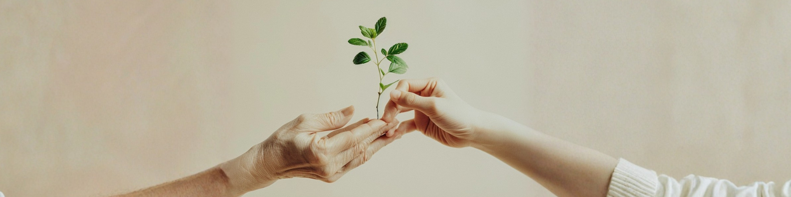 Le jardin, un levier stratégique pour bien vieillir dans une société en transition