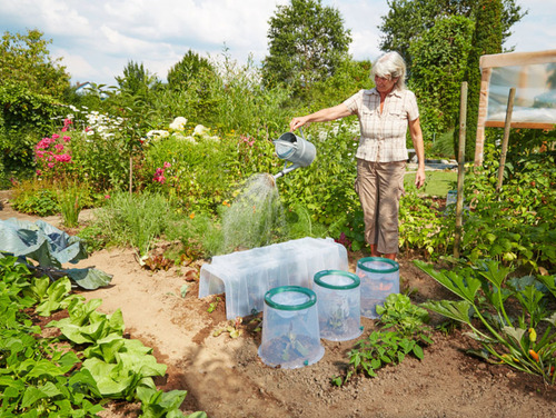 Tunnel de culture Sunny
