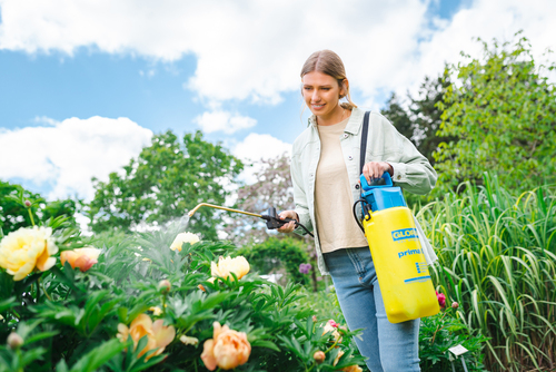 Pulvérsateur à pression prima 5