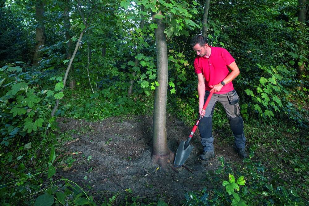 POLYGATOR BECHES COUPE-RACINE D'ARBRES