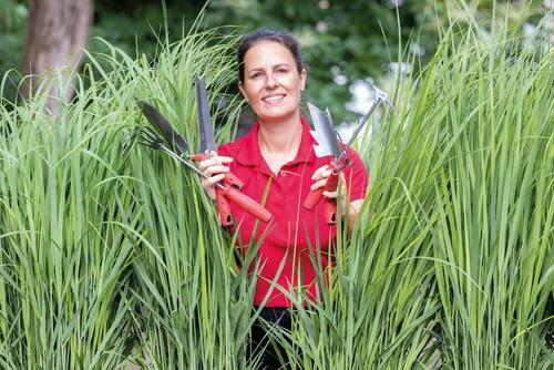 Outils à main professionel