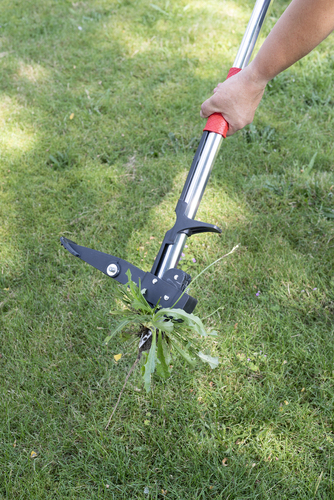 DÉSHERBEUR MANUEL POUR LES MAUVAISES HERBES À RACINE PIVOTANTE