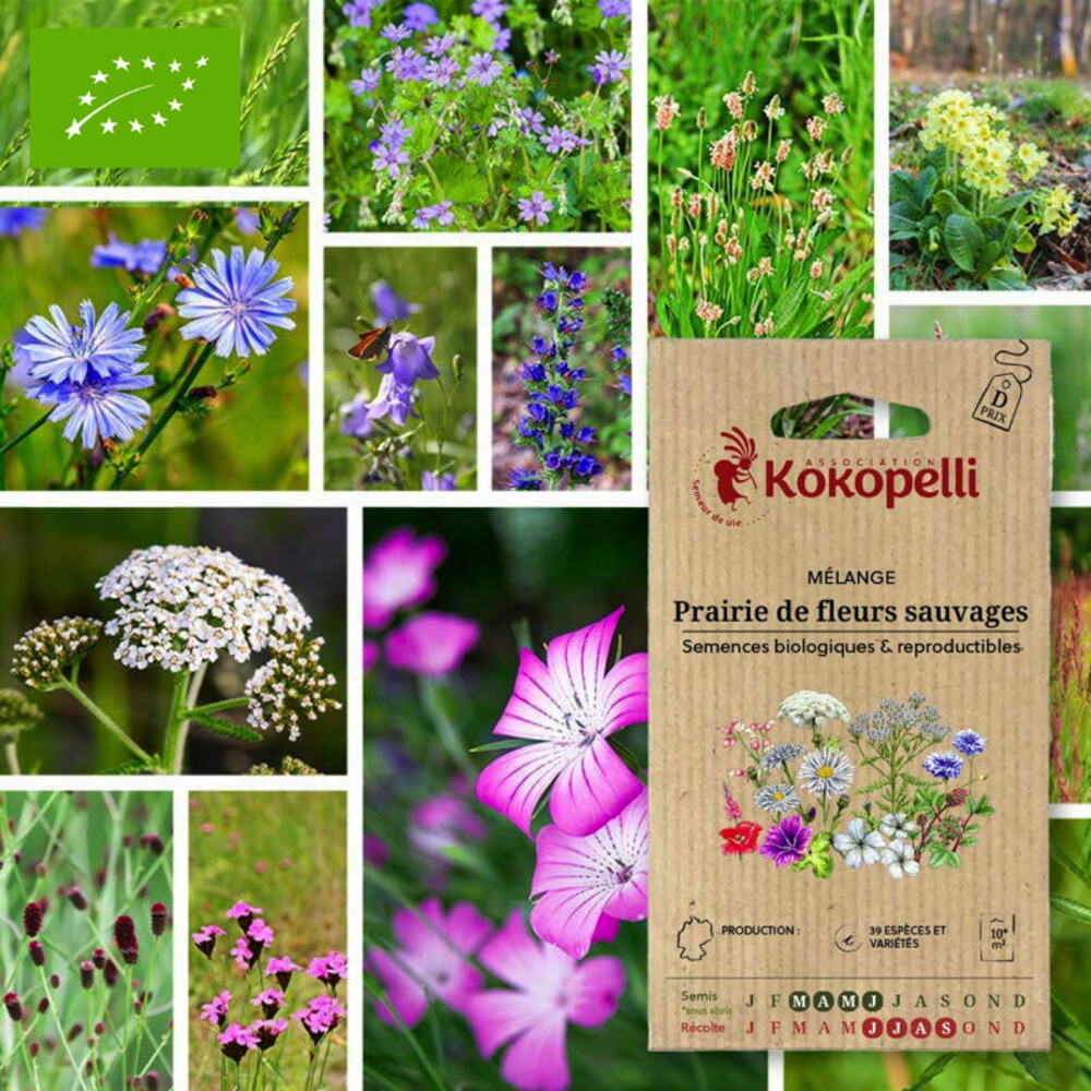 Flower Mix for the Kitchen - Organic seeds for sowing