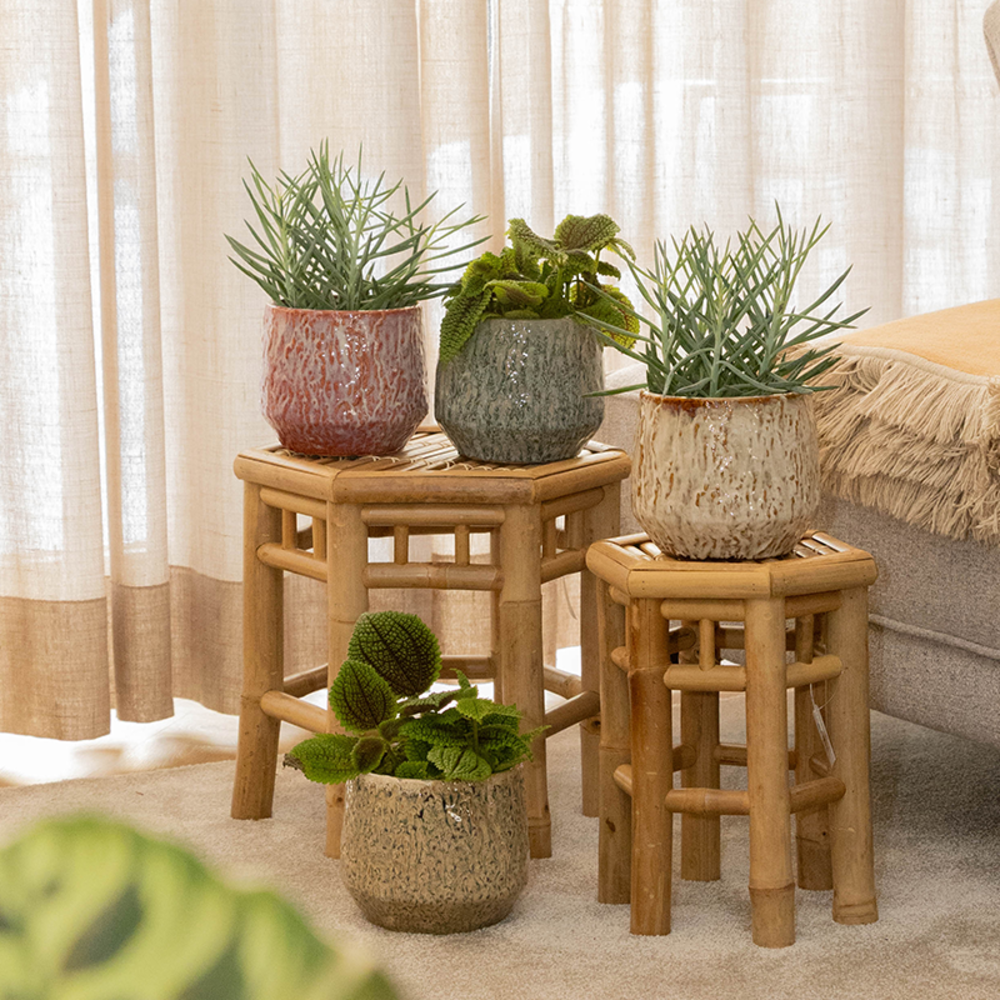 Fave - Poterie d'intérieure