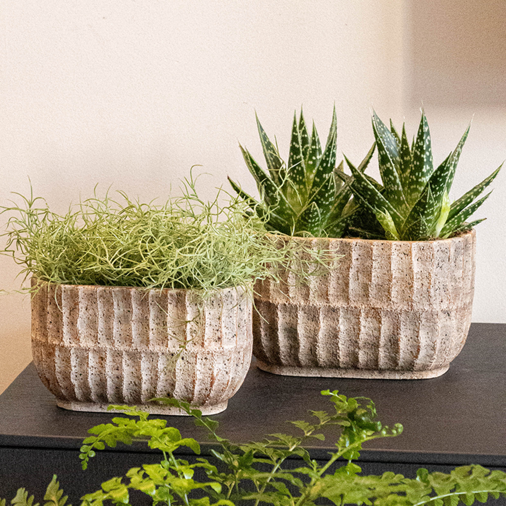 Elder - Poterie d'intérieure