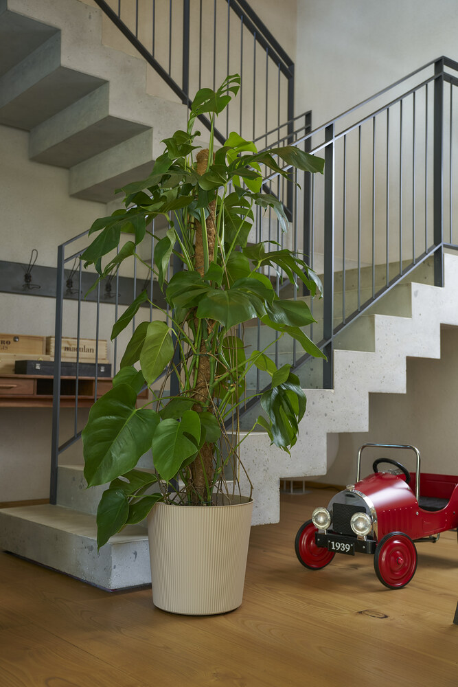 FYRE Cachepot avec roues