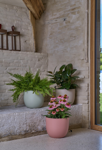 RIO Cache-pot greener