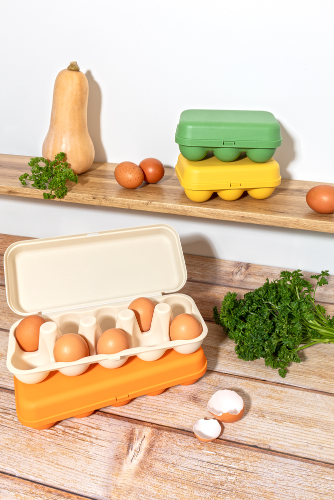 Boîte à œufs en coquilles d'œufs et bioplastique